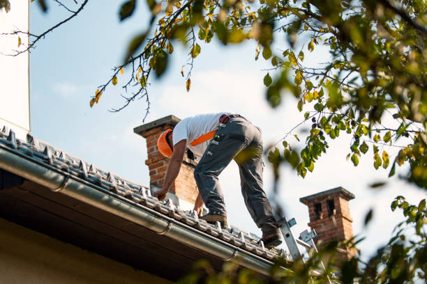 Best Commercial Roofing Services  in Knox, IN