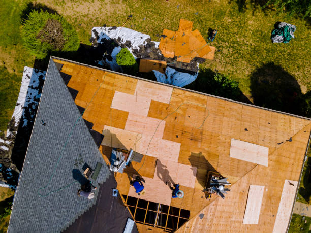 Quick and Trustworthy Emergency Roof Repair Services in Knox, IN
